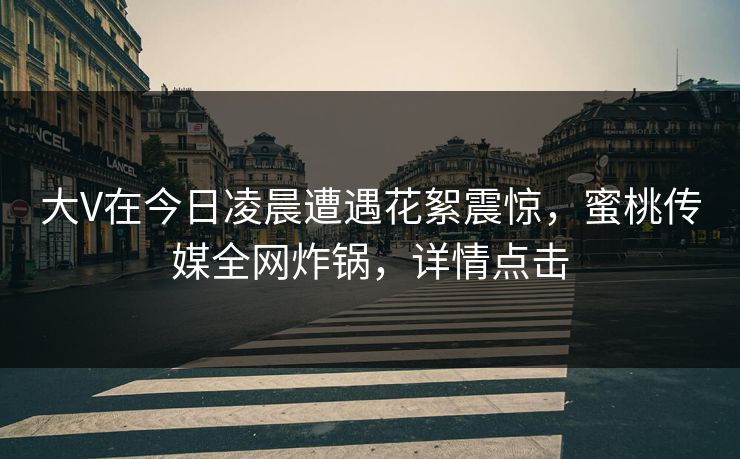 大V在今日凌晨遭遇花絮震惊，蜜桃传媒全网炸锅，详情点击