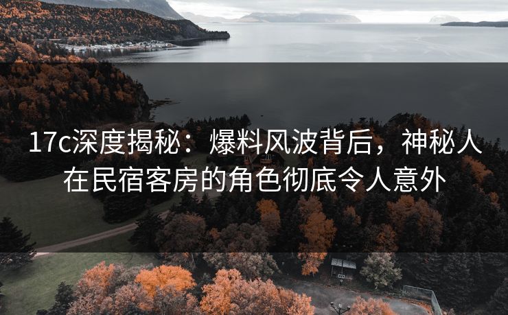 17c深度揭秘：爆料风波背后，神秘人在民宿客房的角色彻底令人意外