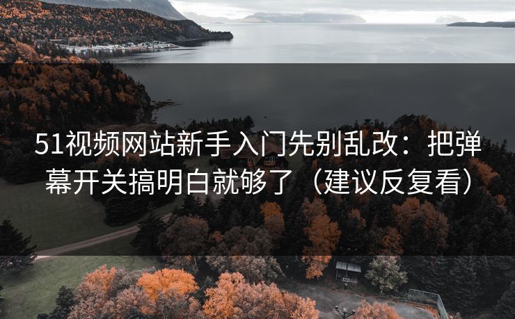 51视频网站新手入门先别乱改：把弹幕开关搞明白就够了（建议反复看）